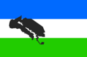 Bandeira de Lago Norte