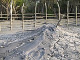 Mud Volcano of Baratang Island