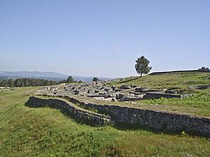 Castro De San Cibrao De Las: Situación, Escavacións arqueolóxicas, Descrición