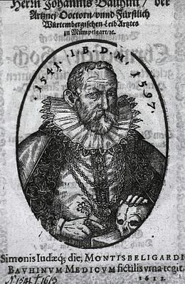 Bauhin Jean 1541-1612.jpg