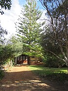 Beach House, Trigg Island, May 2023 03.jpg