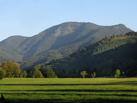 Belchen vom Münstertal 3