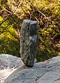 * Nomination Mountain hike from Homene Dessus to Vens Valle d'Aosta. Lac du Joux (1930m) above Vens, Valle d'Aosta. --Agnes Monkelbaan 05:43, 4 March 2016 (UTC) Good focus to main object --Michielverbeek 06:20, 4 March 2016 (UTC) * Promotion {{{2}}}