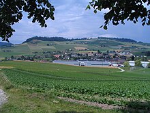 Biglen seen from South BiglenBEvonSueden.JPG