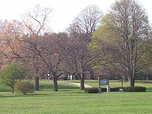 View of the park