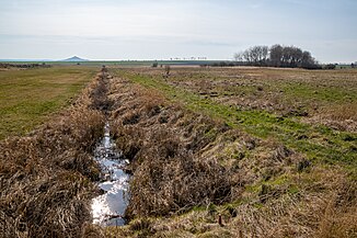 Vombach im Körbecker Bruch