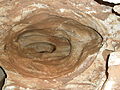 Un boyau géologique (diamètre de 1 m env. ; longueur visible de 3 m).