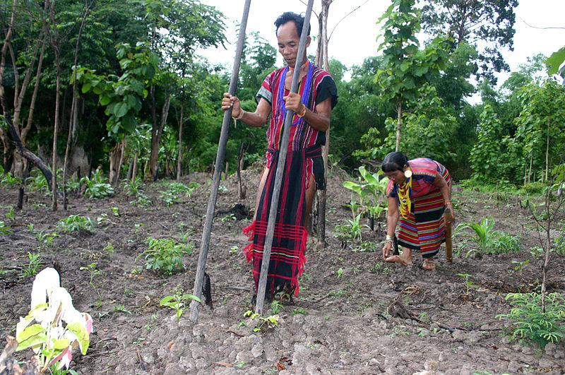 File:Brao Couple Planting Food.JPG