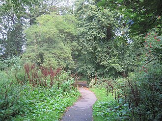 Path in Brent Park Brent Park path.jpg