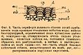 Миниатюра для версии от 08:27, 7 июля 2009