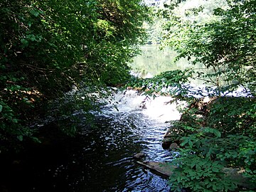 Fichier:Bronx_River.jpg