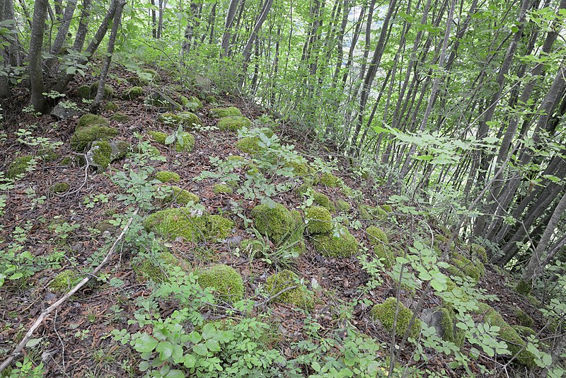 File:Burgurine Schenkenberg in Völs am Schlern Mauerreste mit Moos.jpg