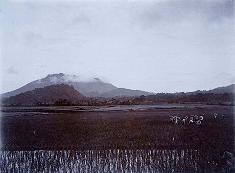 Gunung Mandalawangi