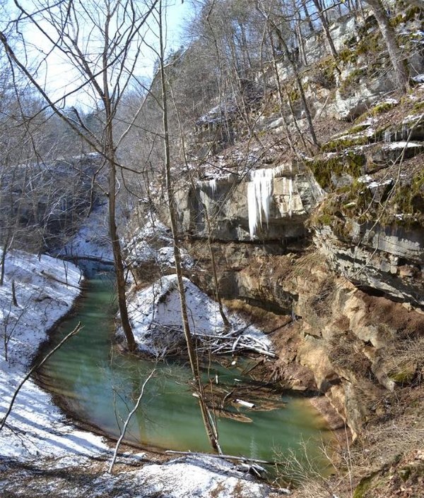 Cedar Sink