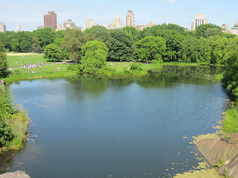 File:Central Park, NYC (May 2014) - 06.JPG