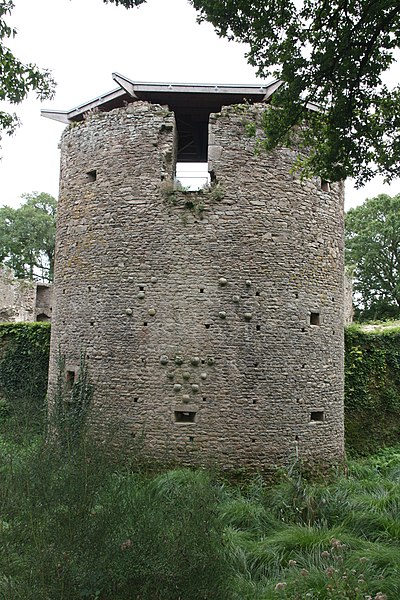 File:Château de Ranrouët. 022.JPG