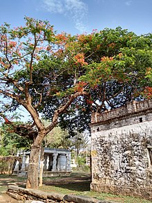 Chennakeshava Tempel