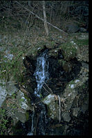 Chesapeake and Ohio Canal National Historical Park CHOH9593.jpg