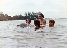 Encounter between a solitary wild dolphin and human children in 1967 Children encounter wild dolphin Lonesome George in Jupiter, Florida (1967).jpg