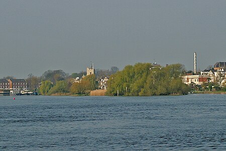 Chiswick Eyot