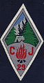 Insigne du CJF 29 - Groupe de direction.