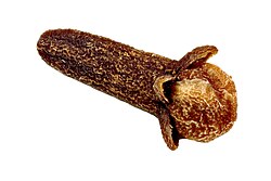 Clove close up.jpg