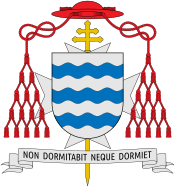Coat of arms of Alfonso Castaldo.svg