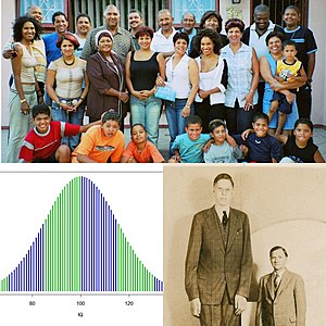 Examples of human phenotypic variability: people with different levels of skin colors, a normal distribution of IQ scores, the tallest recorded man in history - Robert Wadlow - with his father. Collage of examples of human phenotypic variability.jpg