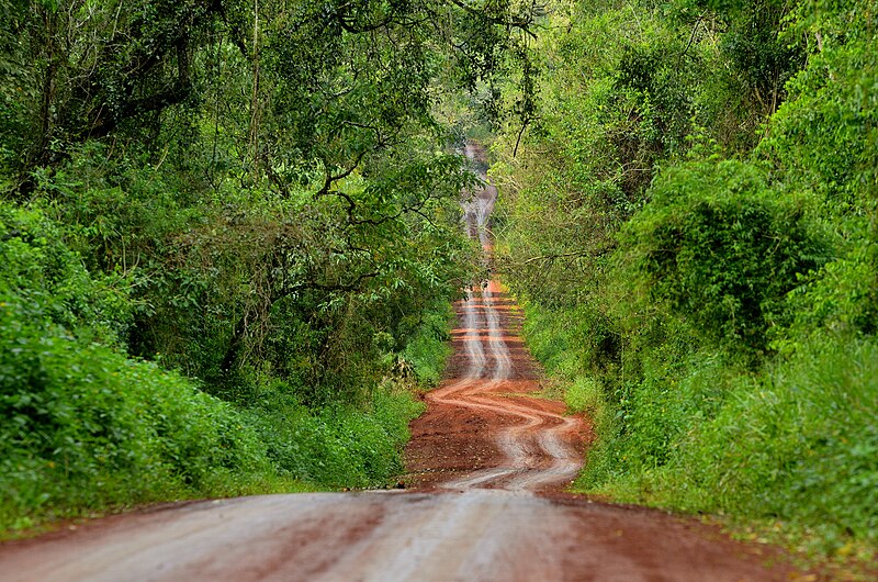 File:Curvas rojas (29373899560).jpg