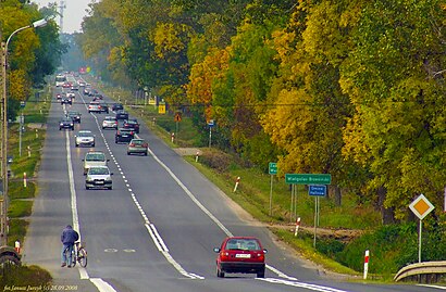 Jak dojechać komunikacją do Wielgolas Brzeziński - O miejscu docelowym