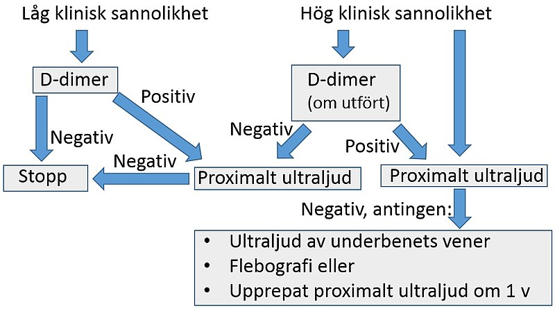 File:DVT algoritm.jpg