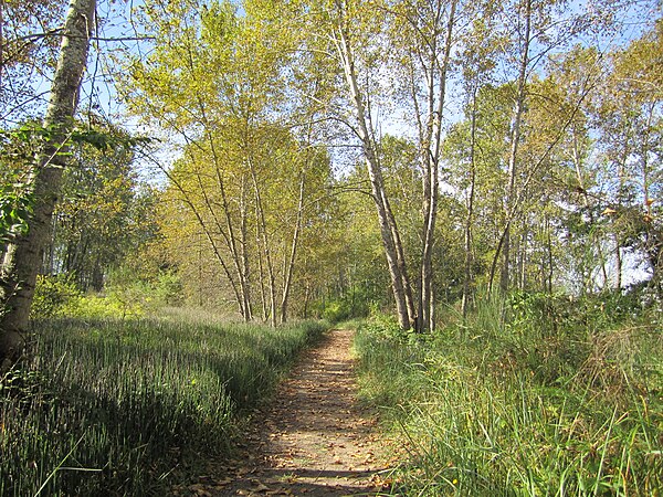 A trail on Deas Island in late September