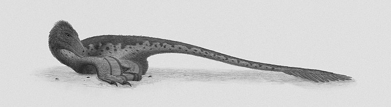 File:Deinonychus Steveoc.jpg