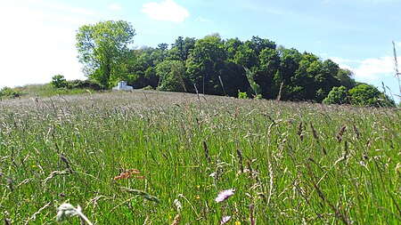 Disibodenberg.Naturschutzgebiet.