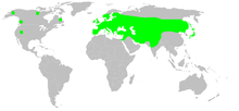 Distribution.araniella.cucurbitina.1.png