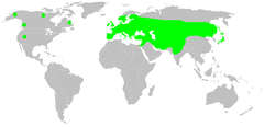 Mapa rozšíření Křižáka zeleného