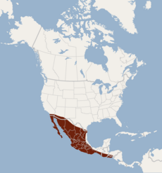 Répartition de Choeronycteris mexicana.png