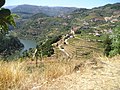 Miniatura para Santa Cruz do Douro e São Tomé de Covelas