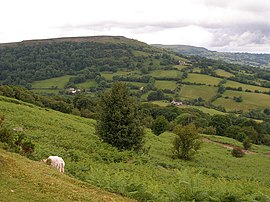 Tumble'a doğru yokuş aşağı - geograph.org.uk - 470317.jpg