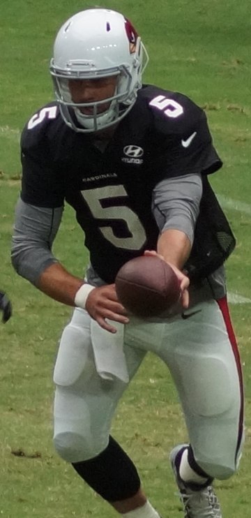 Stanton in 2016
