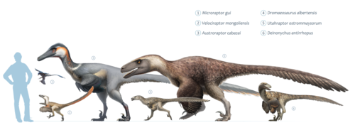 Jurassic World Evolution Dinosaur Size Chart