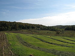 Countryside in Fairfield