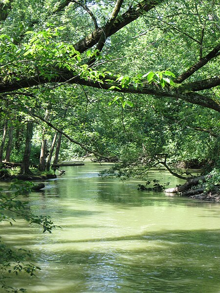 File:Fall Creek - August 2009 - Christine Peppler.jpg