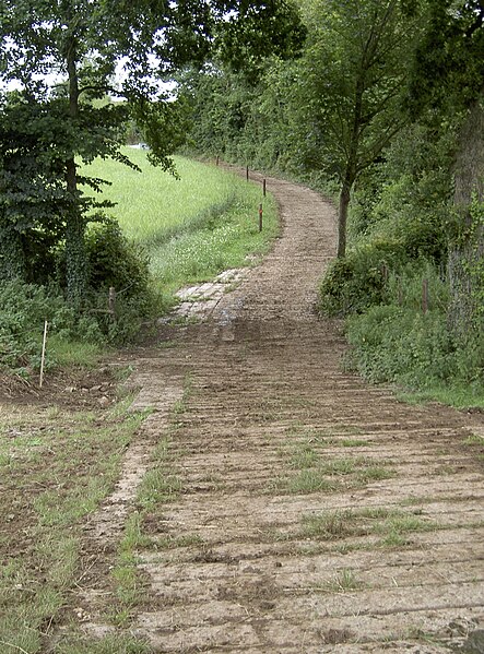 File:Farm road - geograph.org.uk - 5445480.jpg