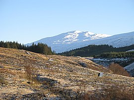 Felled area above the Garvie - geograph.org.uk - 1072239.jpg