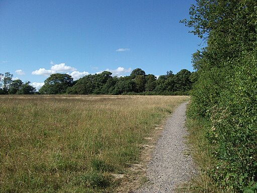 Field at Bedelands Nature Reserve - geograph.org.uk - 1974272