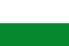 Flag of Štīrija