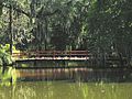 Foot bridge over pond at Magnolia Plantation