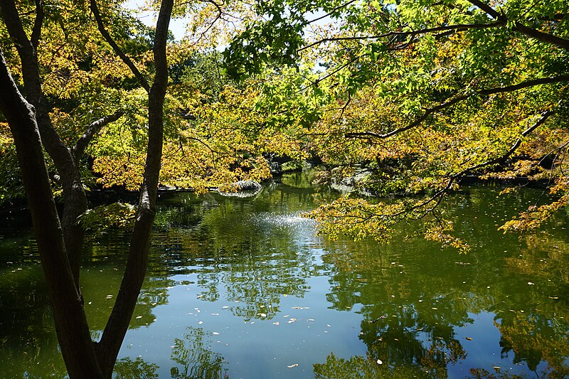 File:Fort Worth Japanese Garden October 2019 13.jpg