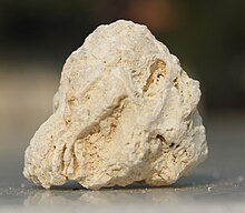 Sample of fossiliferous limestone Fossiliferous Limestone.JPG